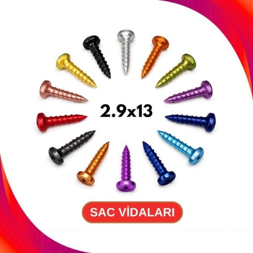 Sac ve Sunta Vidaları
