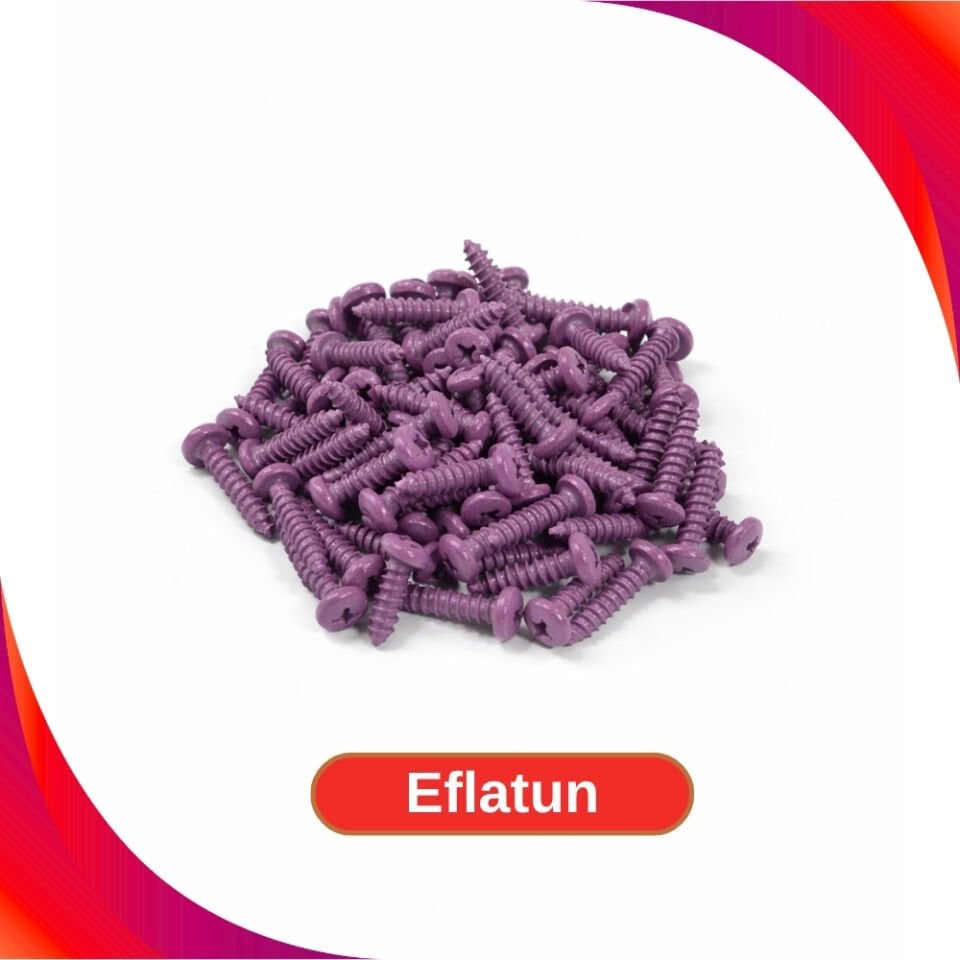 2.9x13mm Renkli Sac Vidası - Eflatun