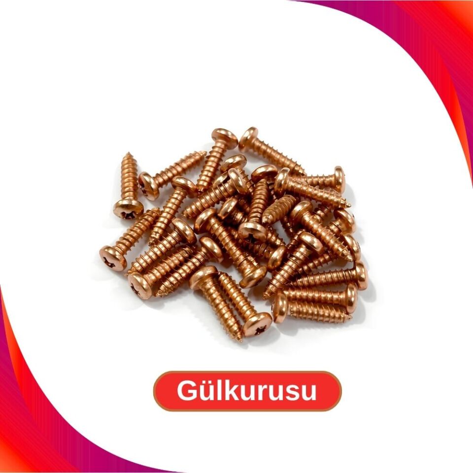2.9x13mm Renkli Sac Vidası - Gülkurusu