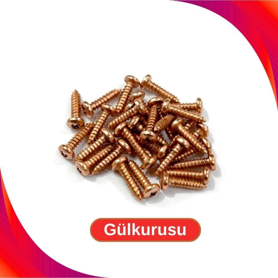2.9x13mm Renkli Sac Vidası - Gülkurusu